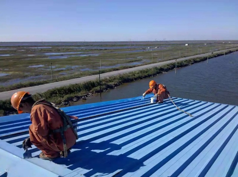 台前钢结构屋面漏水原因